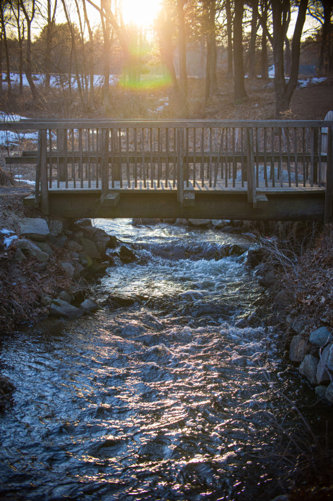 Nate Gerry Promo Headshots! Nate Gerry Promo Headshots!