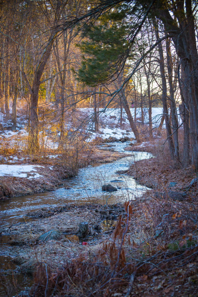Nate Gerry Promo Headshots! Nate Gerry Promo Headshots!