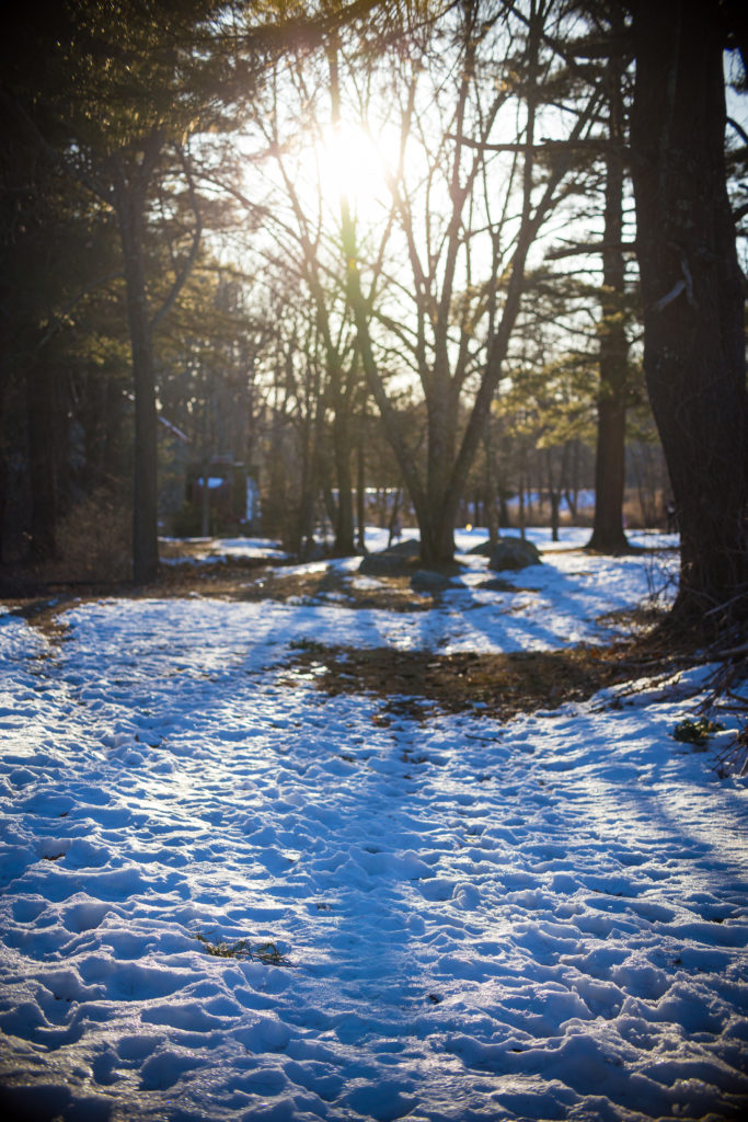Nate Gerry Promo Headshots! Nate Gerry Promo Headshots!