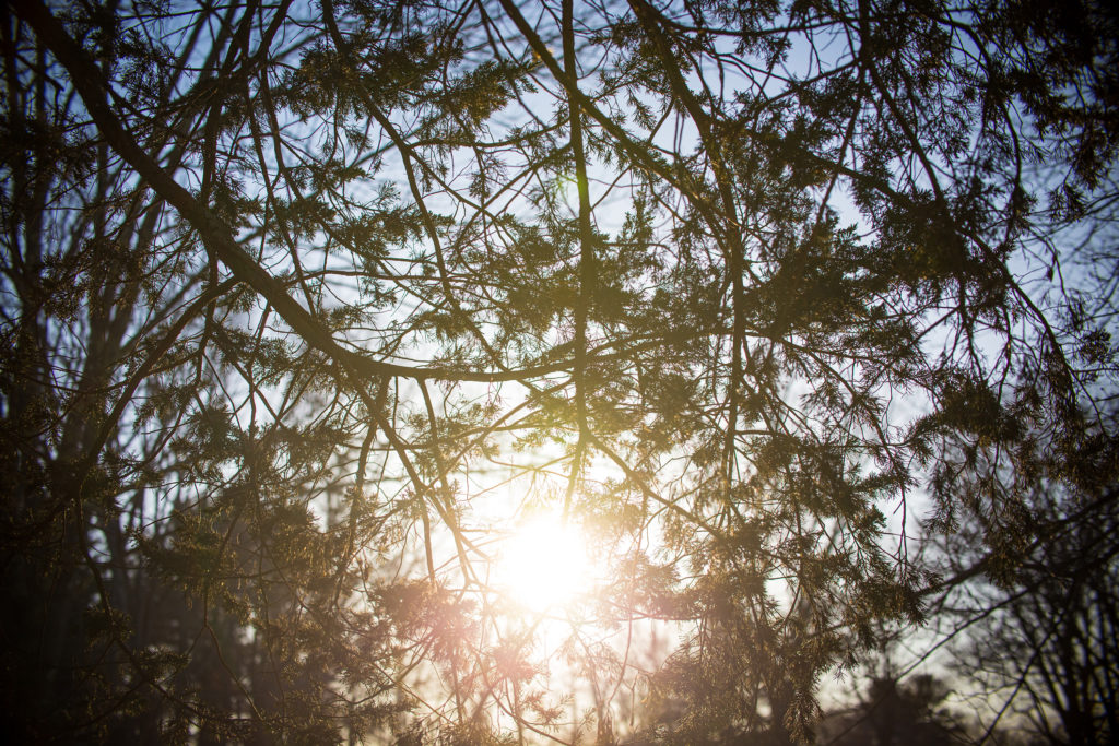 Nate Gerry Promo Headshots! Nate Gerry Promo Headshots!